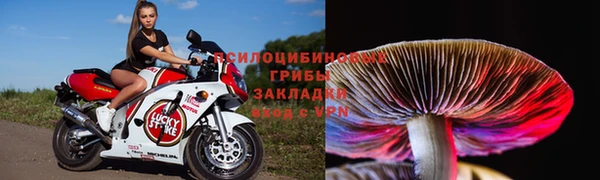 прущие грибы Богородск