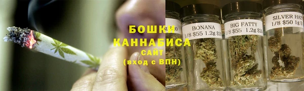 прущие грибы Богородск