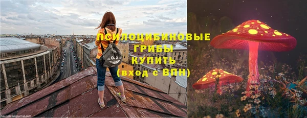 первитин Богданович